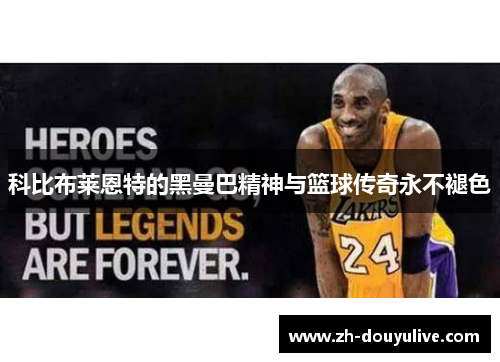 科比布莱恩特的黑曼巴精神与篮球传奇永不褪色